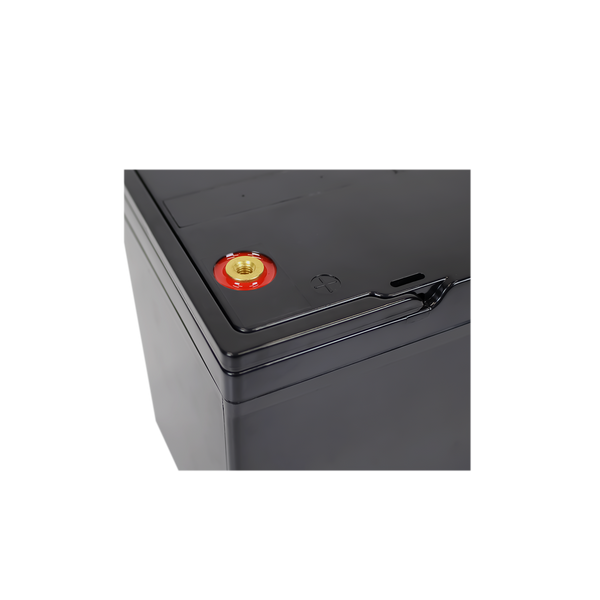 Акумулятор LP LiFePO4 24V - 52 Ah (BMS 60A/30A) пластик