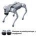 Робо-собака Unitree Go2 Air Package BV-001609 фото