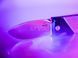 Нож Boker Plus "Bill N Ted Operation" HRST-01BO629 фото